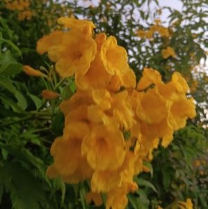 Meet your Posher, Diego